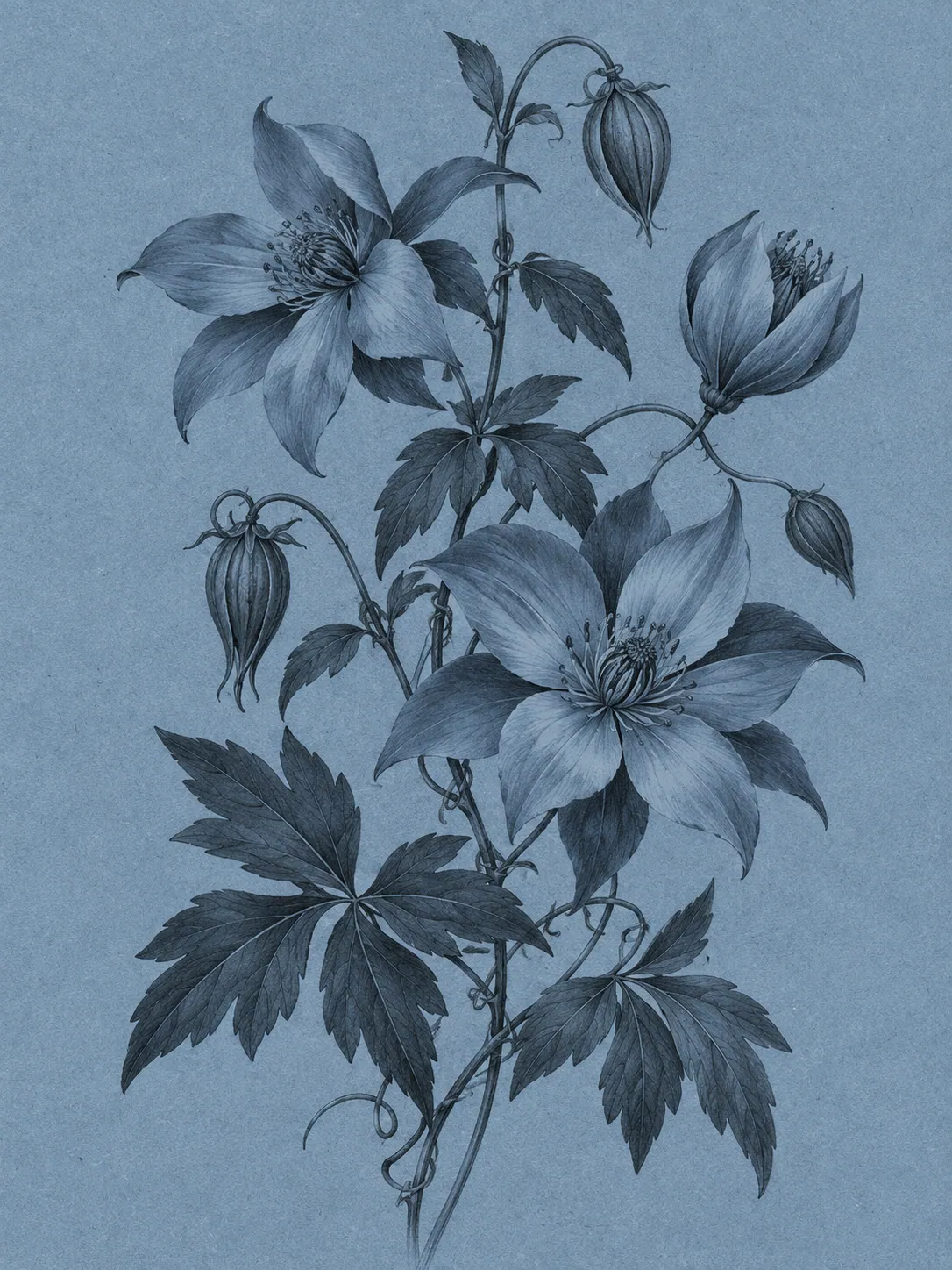 Blue Wildflower Study