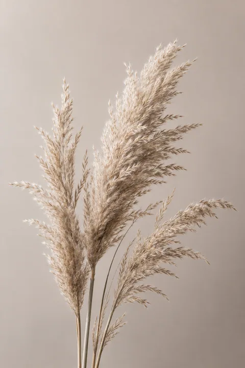 Pampas Silhouette II