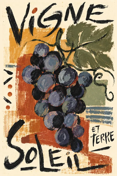 Soleil et Terre Grape Harvest