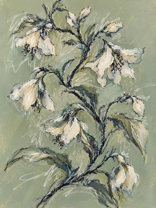 White Blossoms on Sage