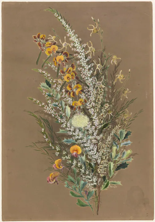 Wildflower Studies on Umber