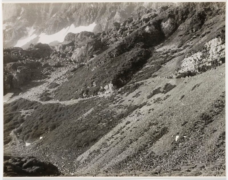 “Penguin Road”, Heard Island by Unidentified photographer, c. 1955 — digital art print download
