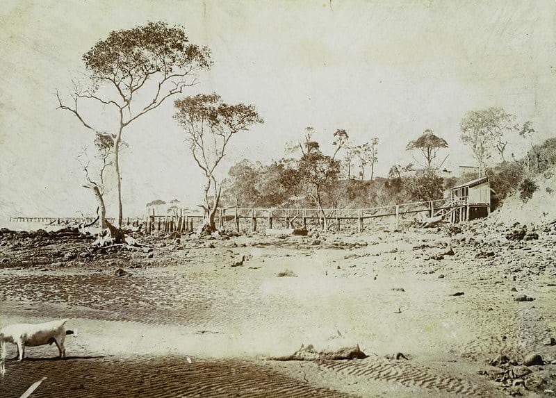 Sandgate Beach by Unidentified photographer, 1900 — digital art print download