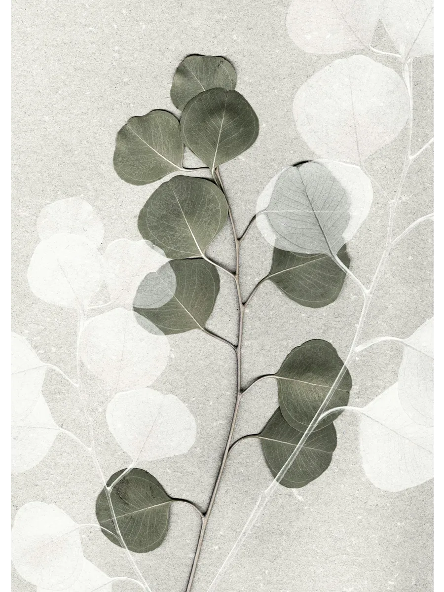 Cozy Eucalyptus Forest Poster Set for Interiors
