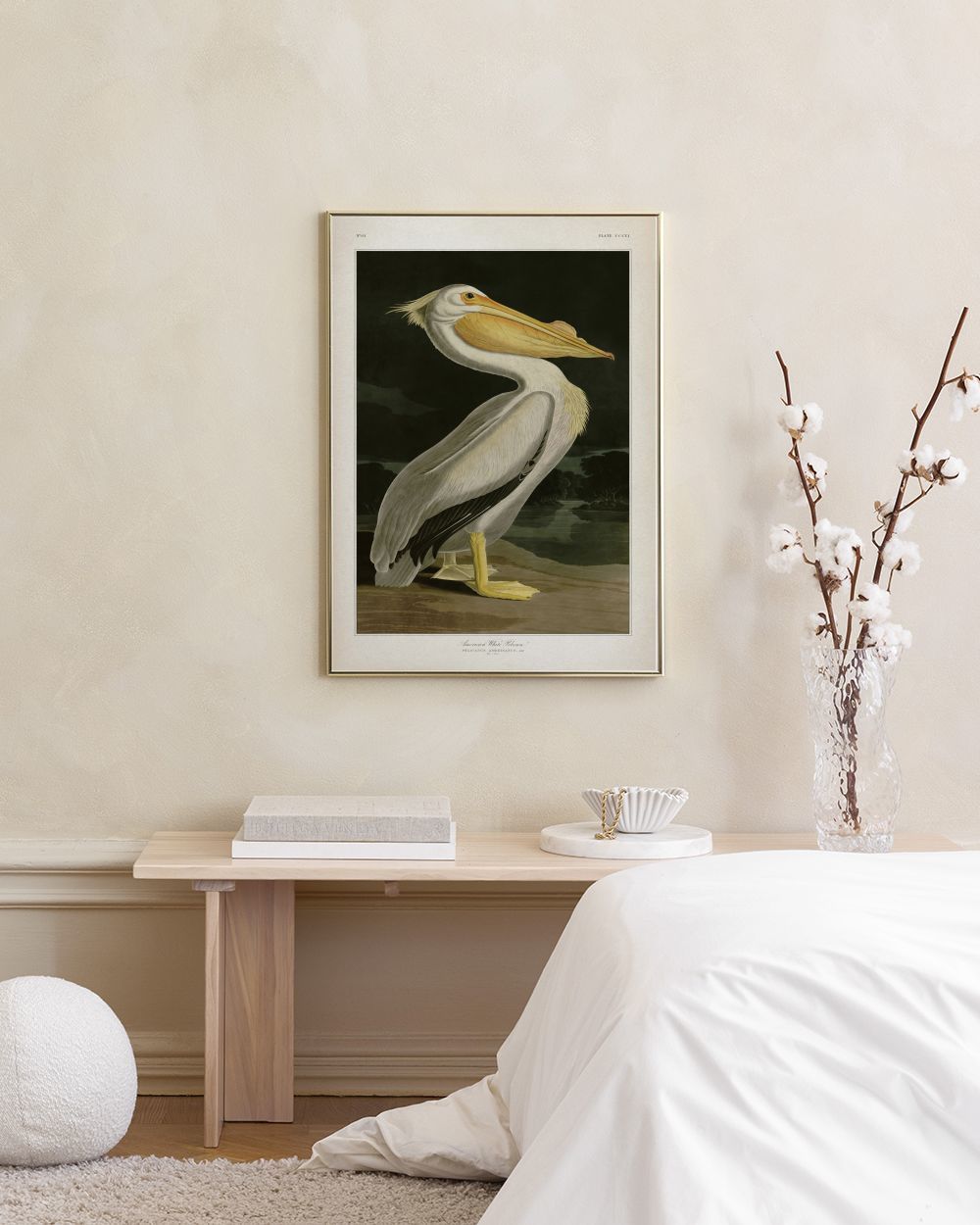 Американский белый пеликан