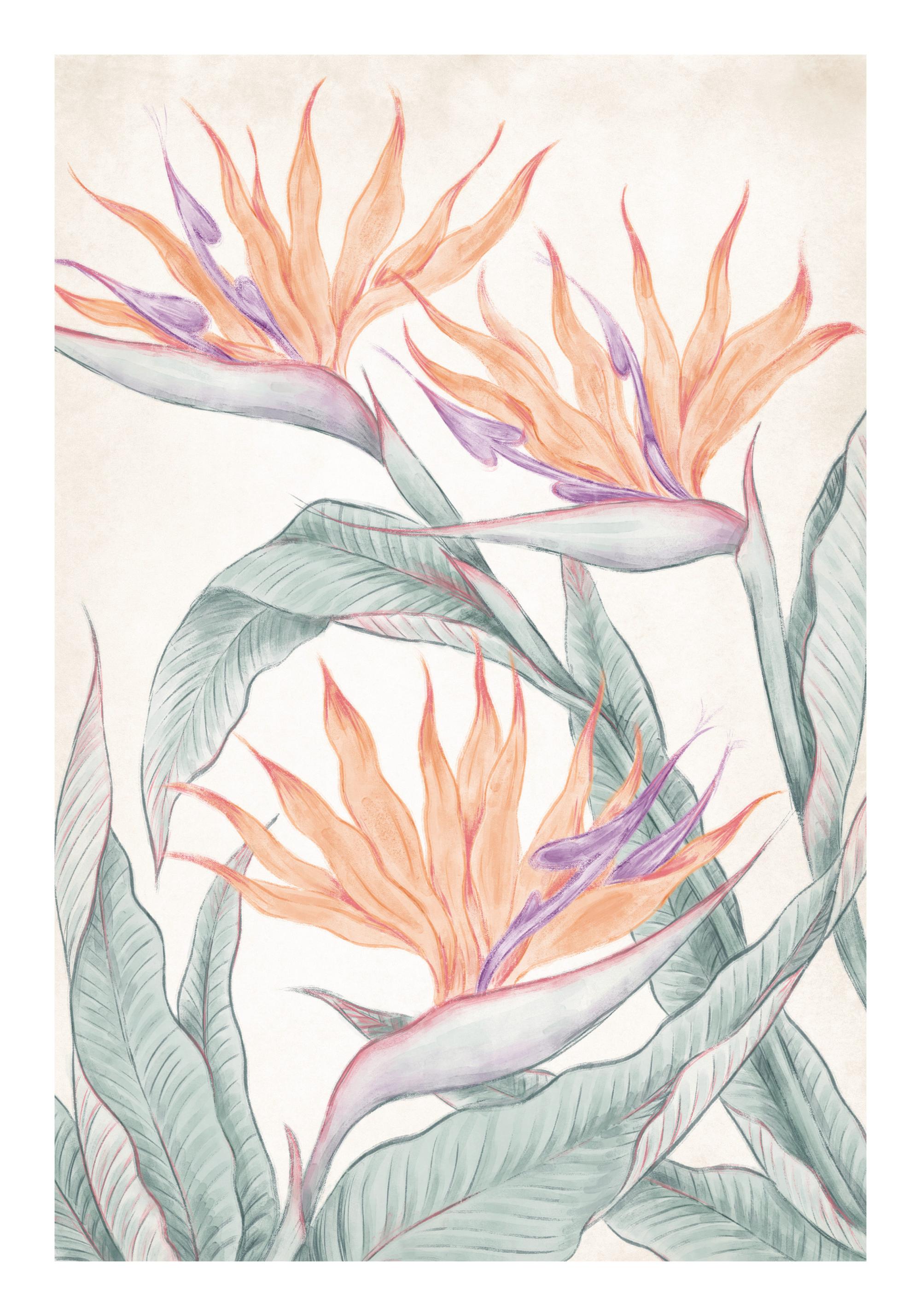 Birds of Paradise Painting Print