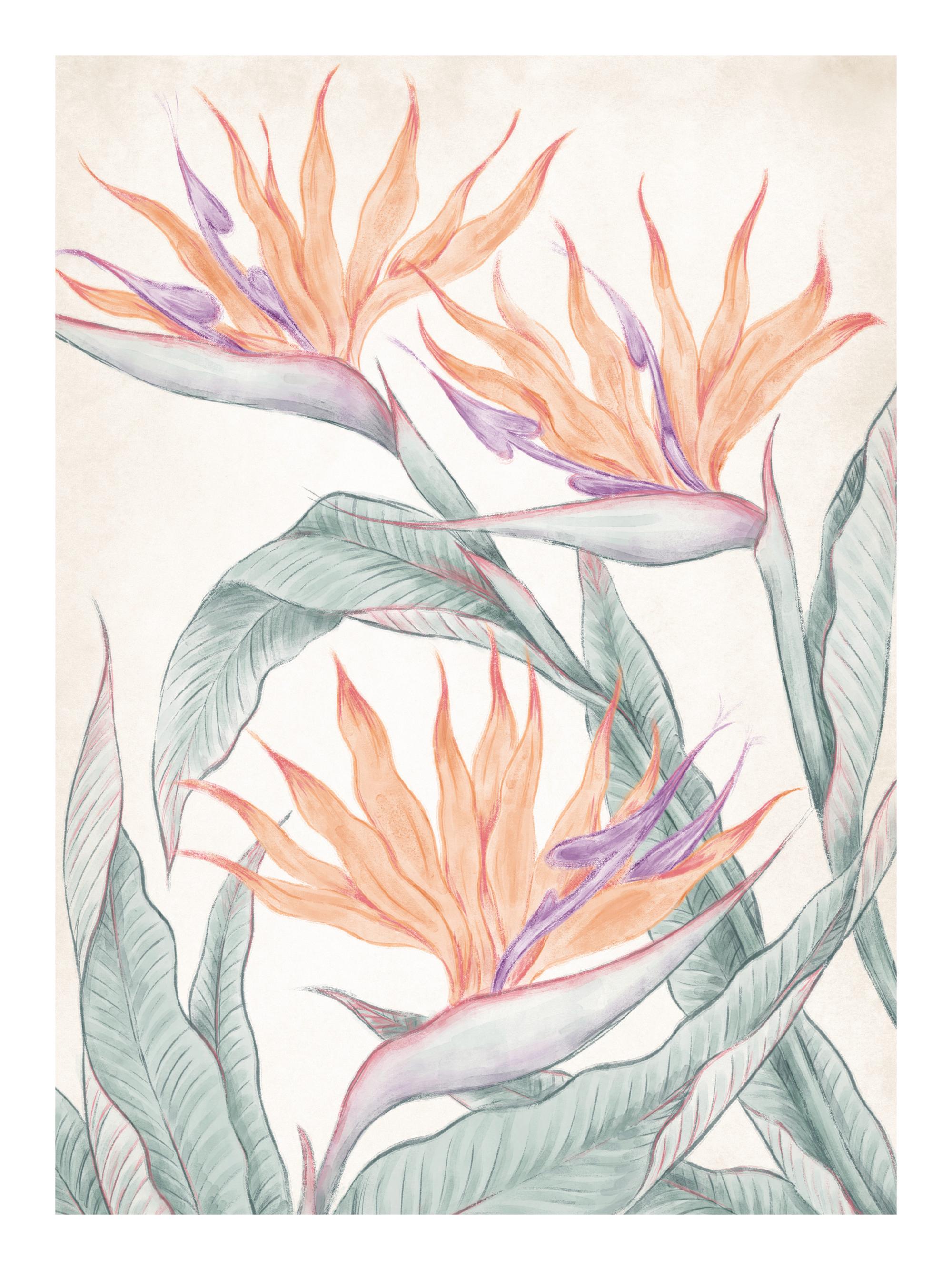 Birds of Paradise Painting Print
