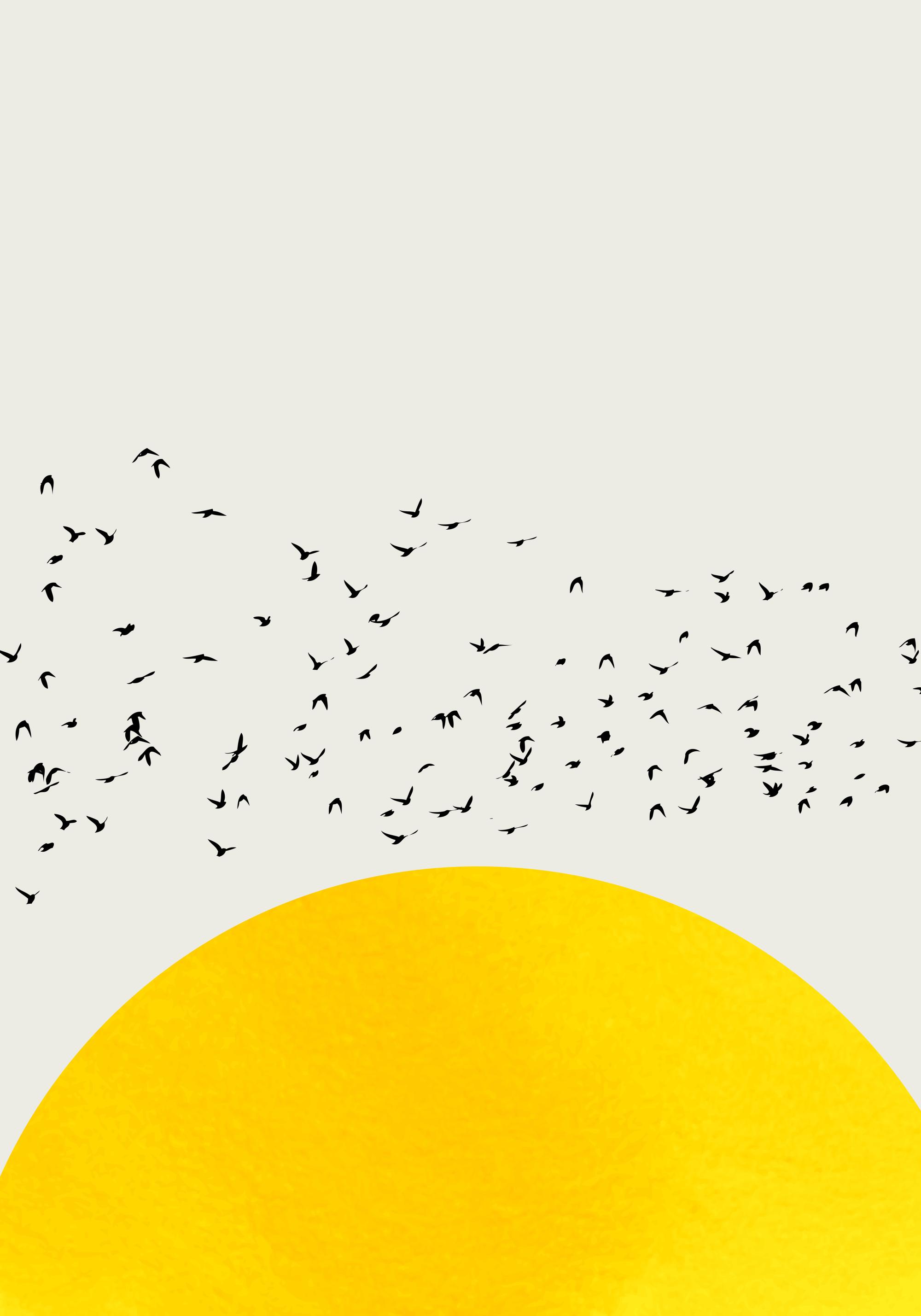 Boris Draschoff / Kubistika - A Thousand Birds Print