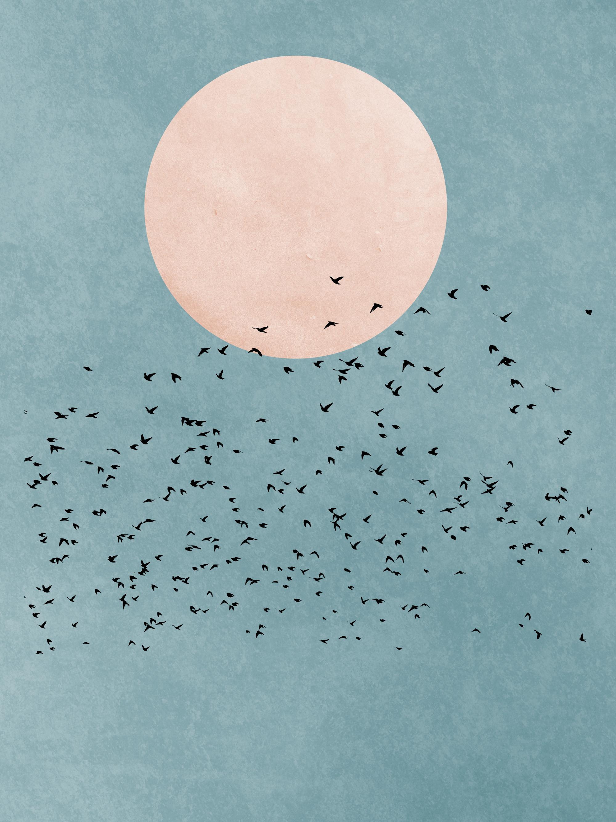 Boris Draschoff / Kubistika - Birds Fly Away Print
