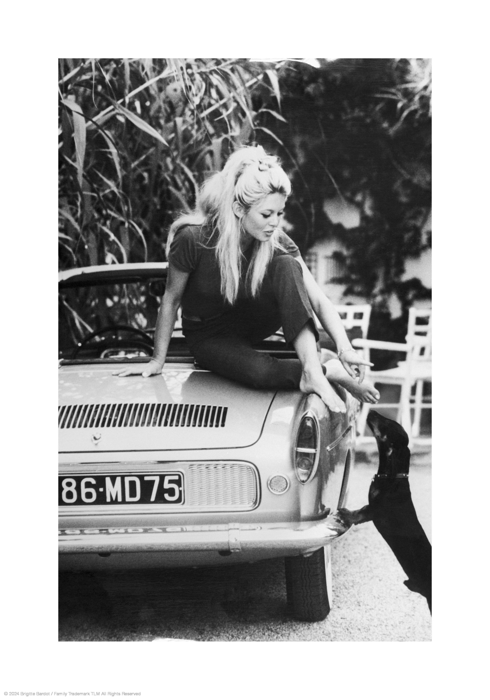 Brigitte Bardot Print