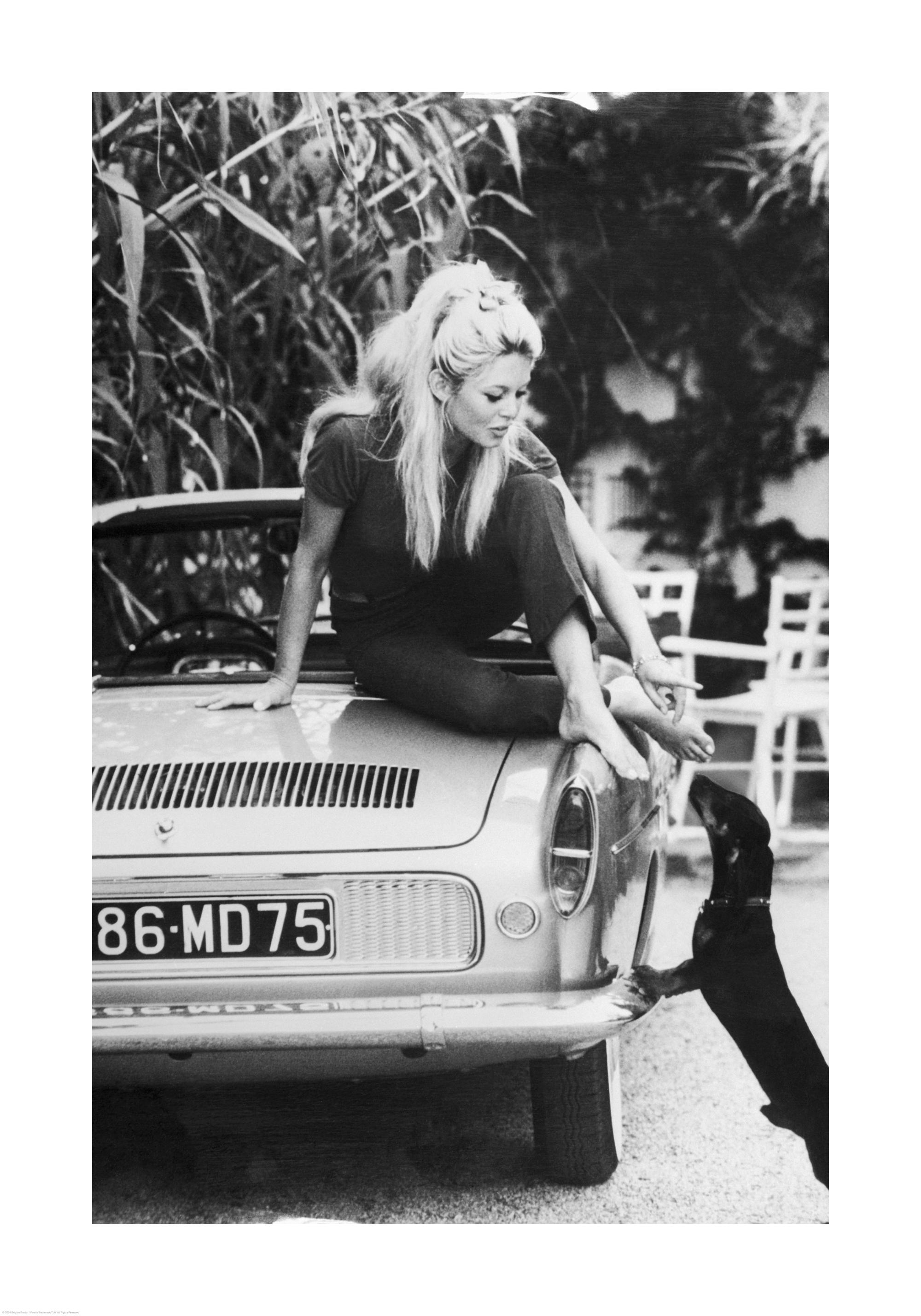 Brigitte Bardot Print