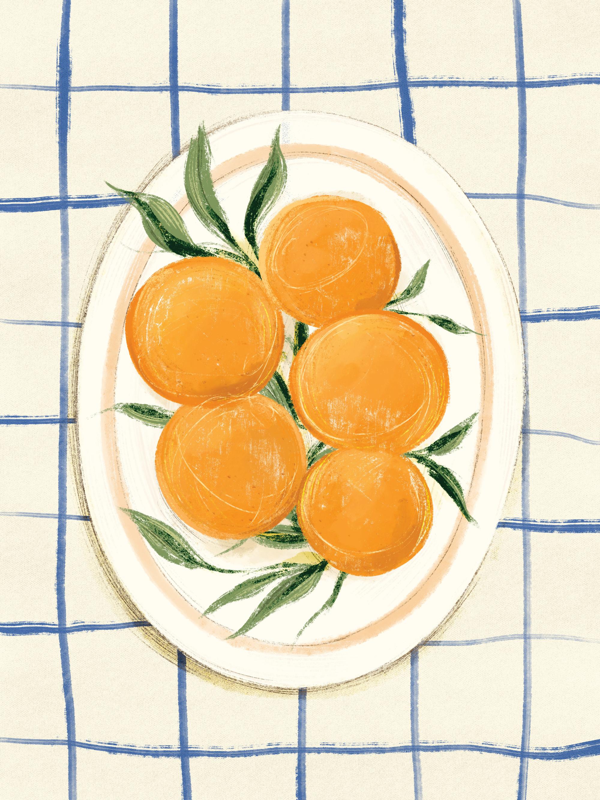 Citrus on Checkers Print