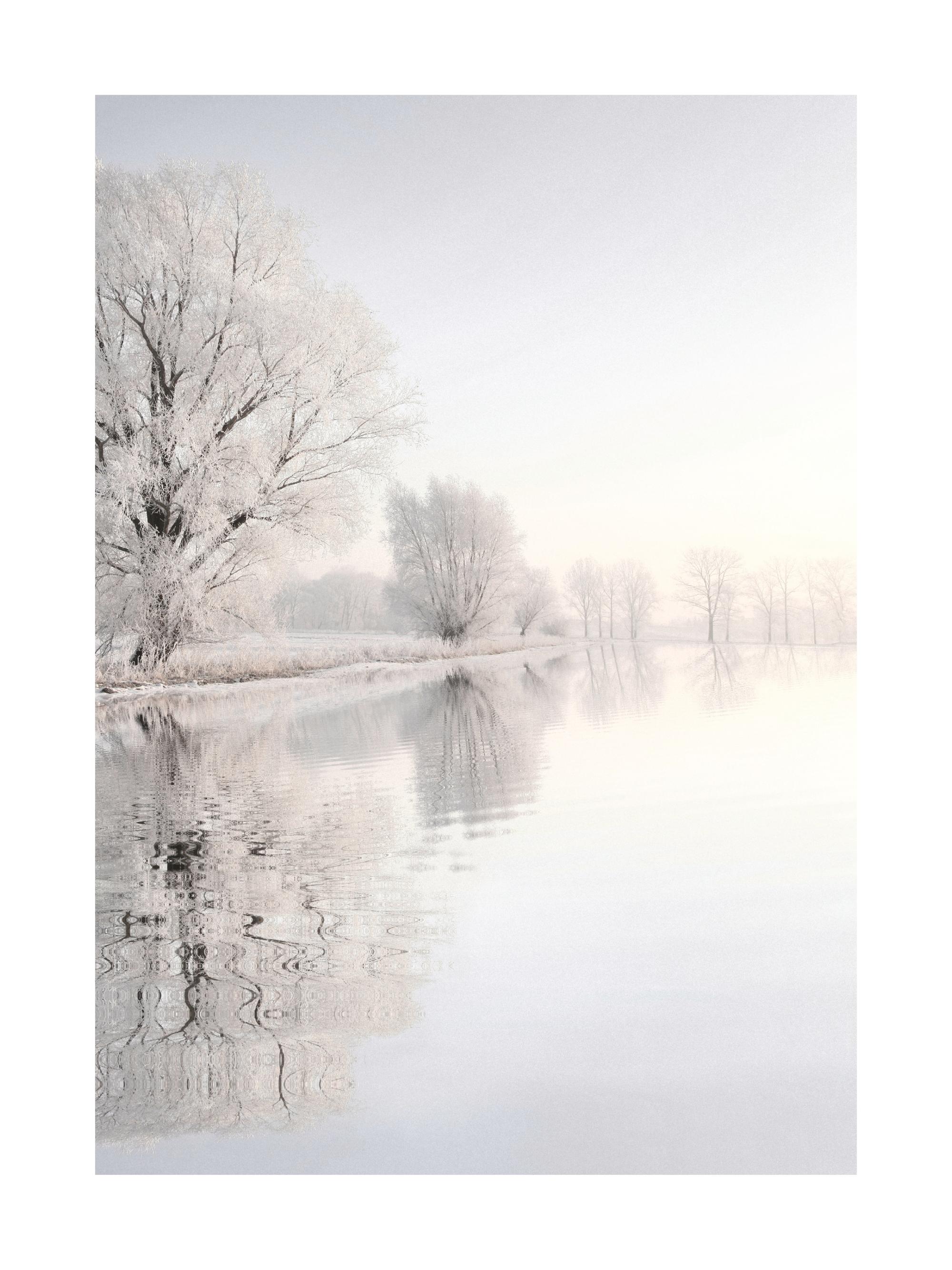 Crispy Wonderland Print