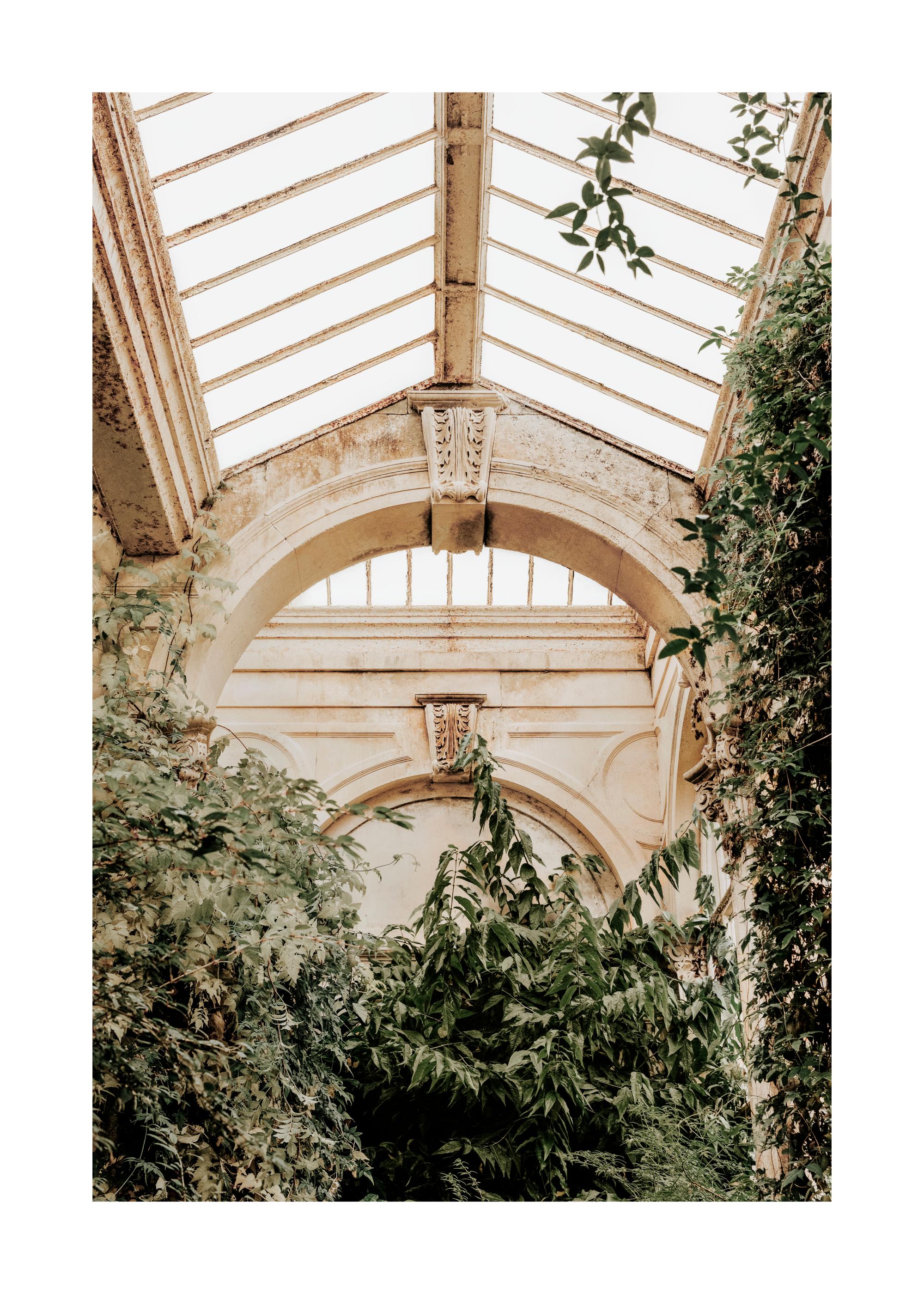 Elegant Ceiling Print