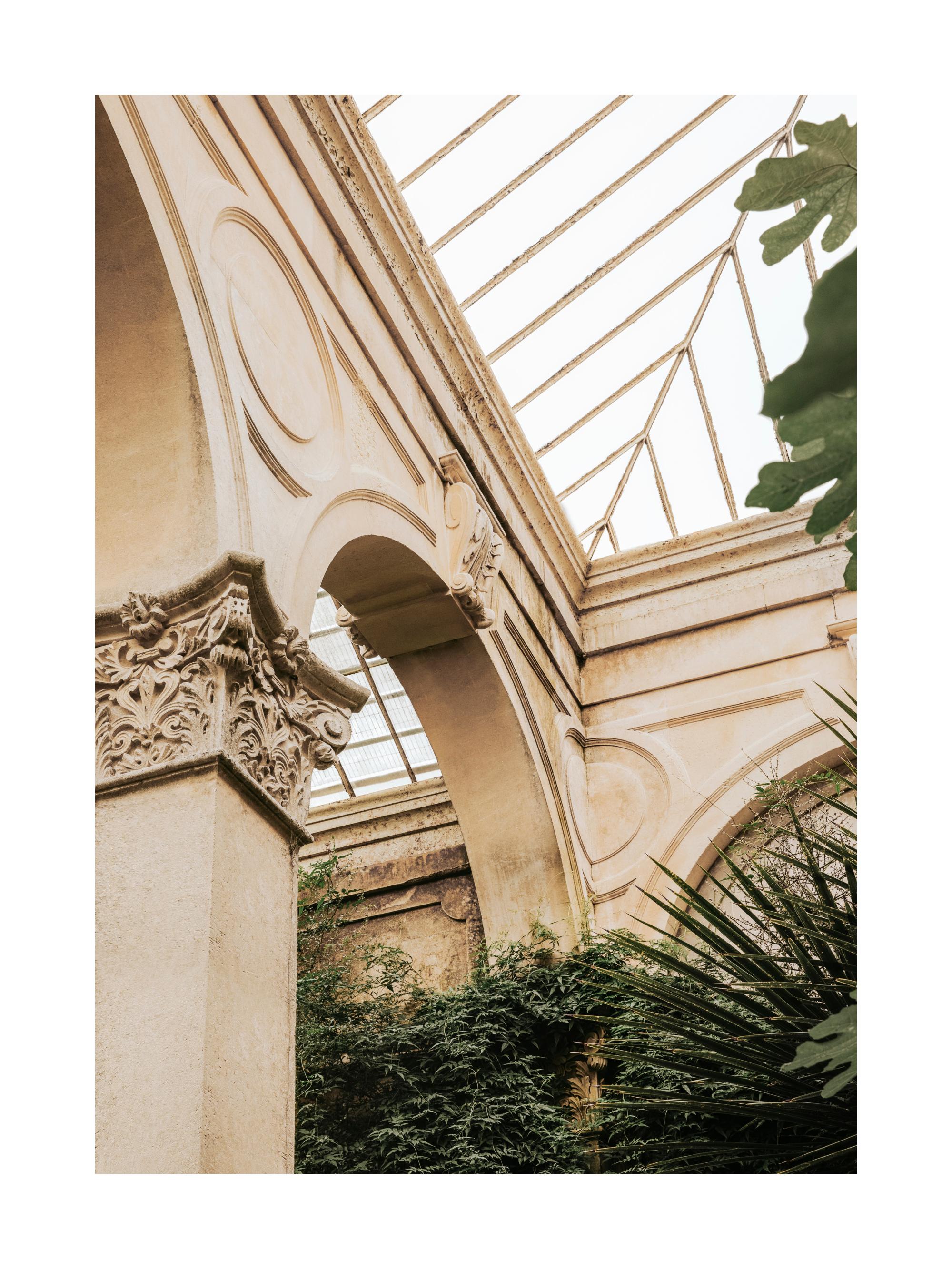 Embrace The Sunlight Print