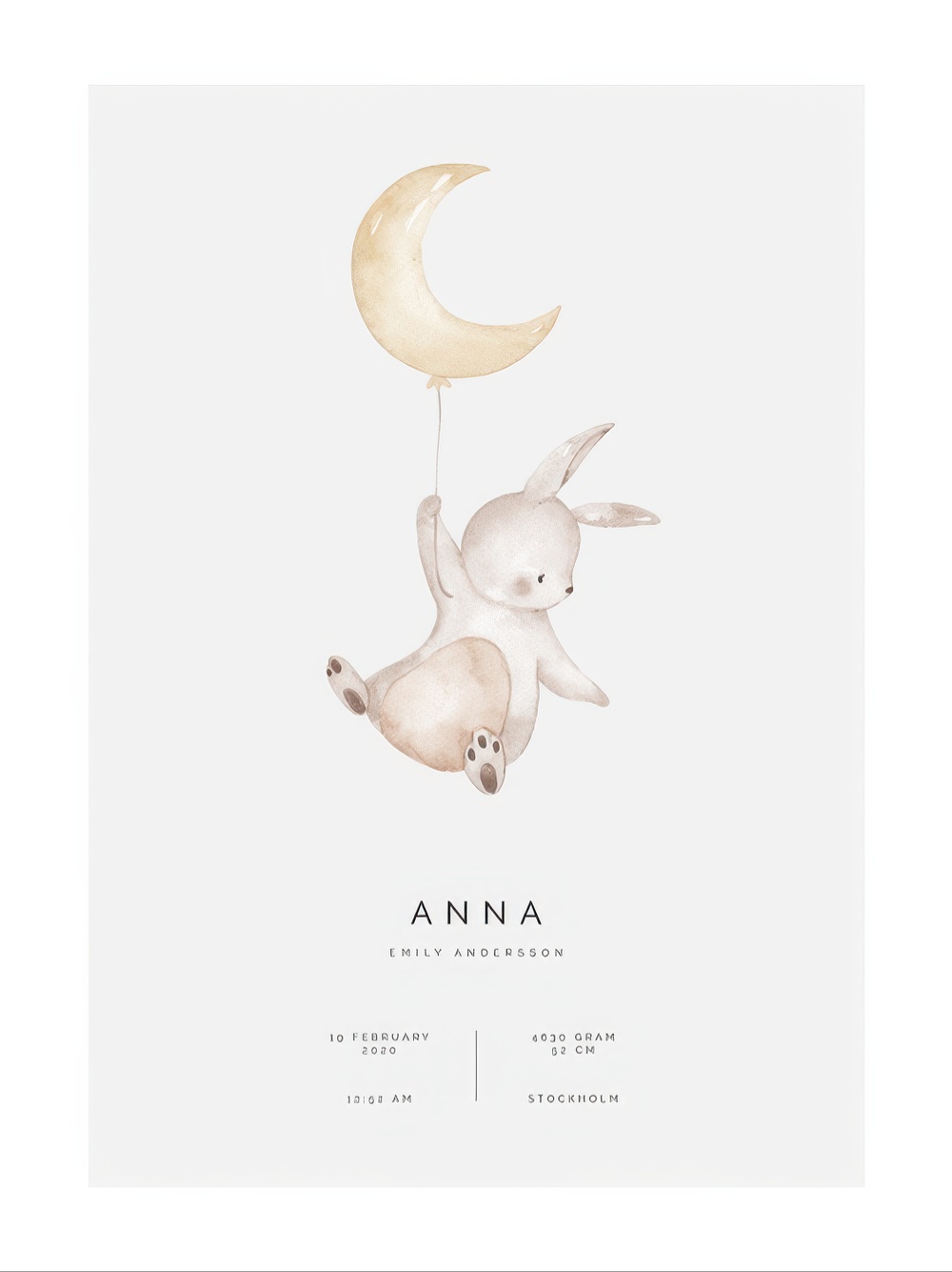 Flying Bunny Personal