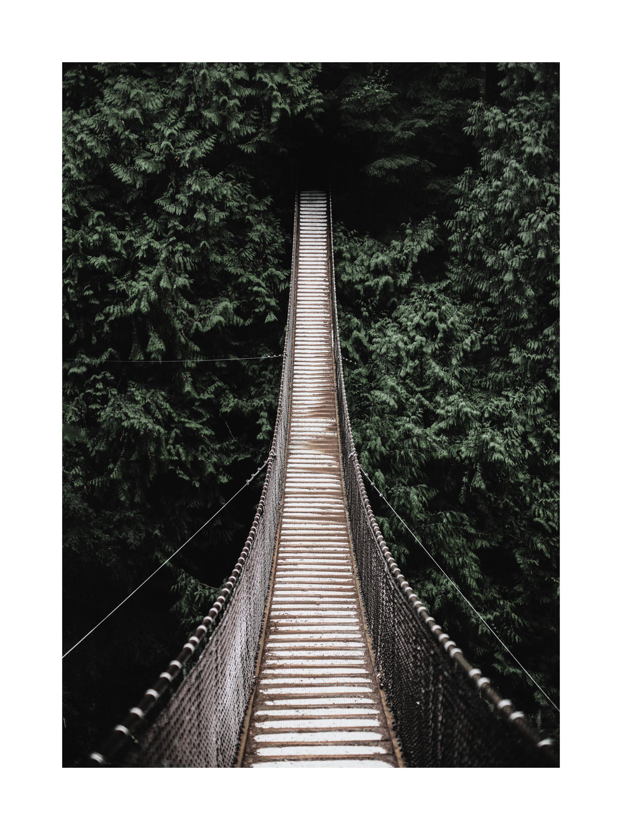 Forest Bridge Print