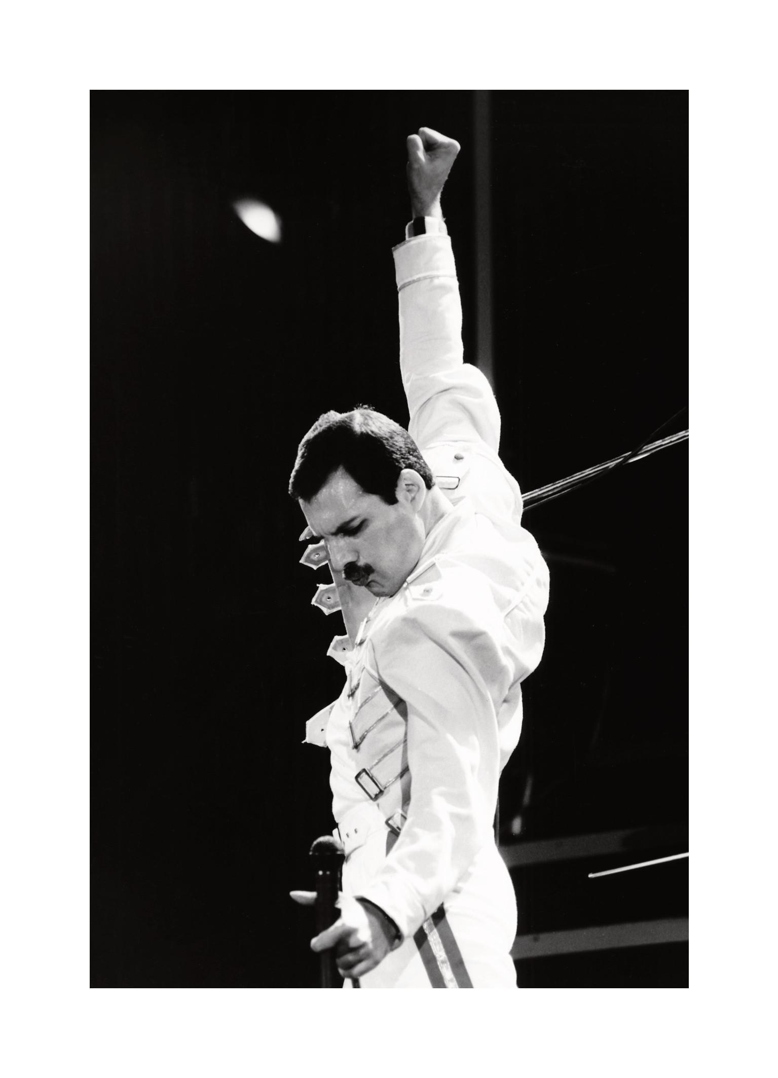 Freddie Mercury Print