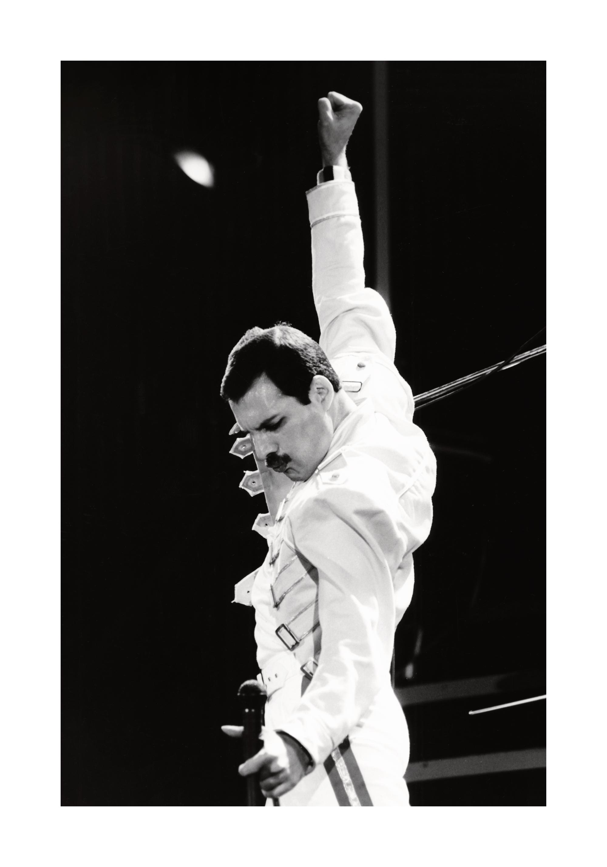 Freddie Mercury Print