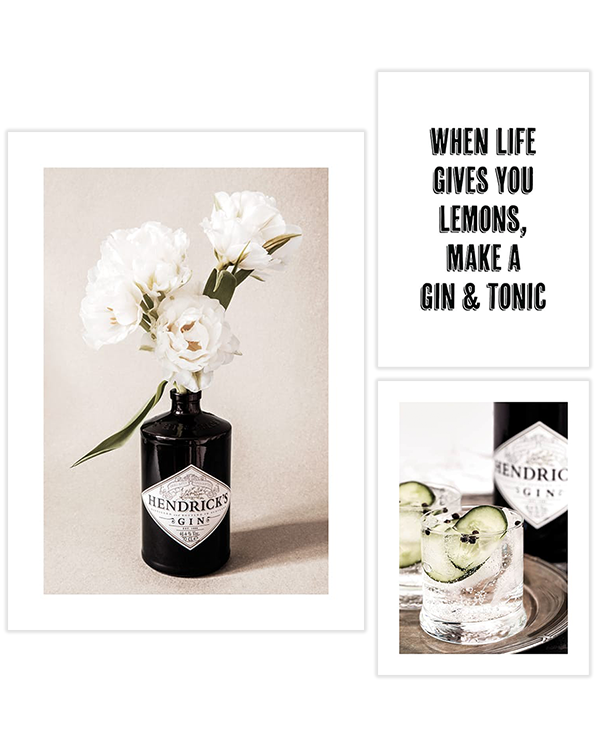 Gin and Flowers Trio Poster pack