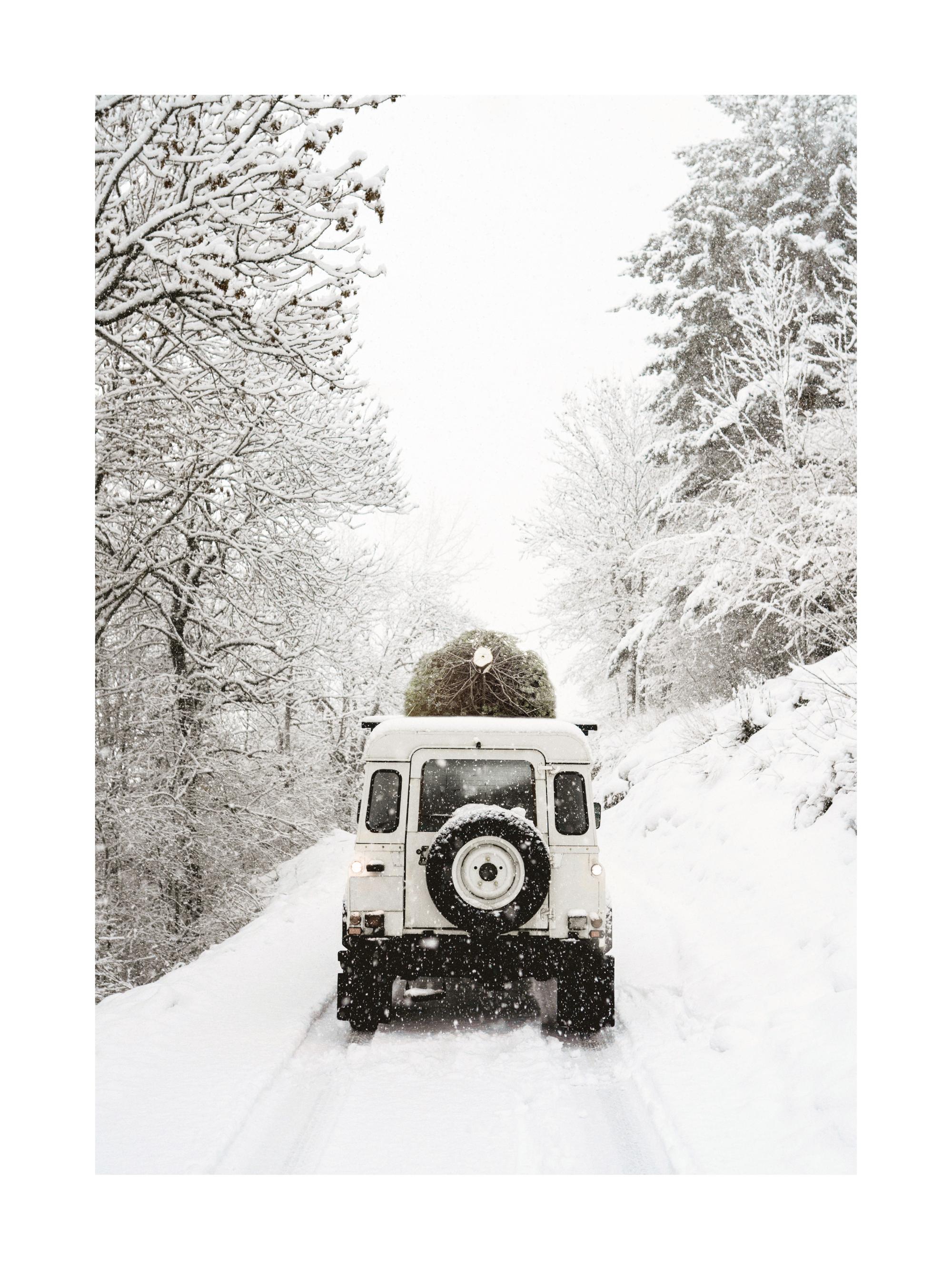 Holiday Delivery Print