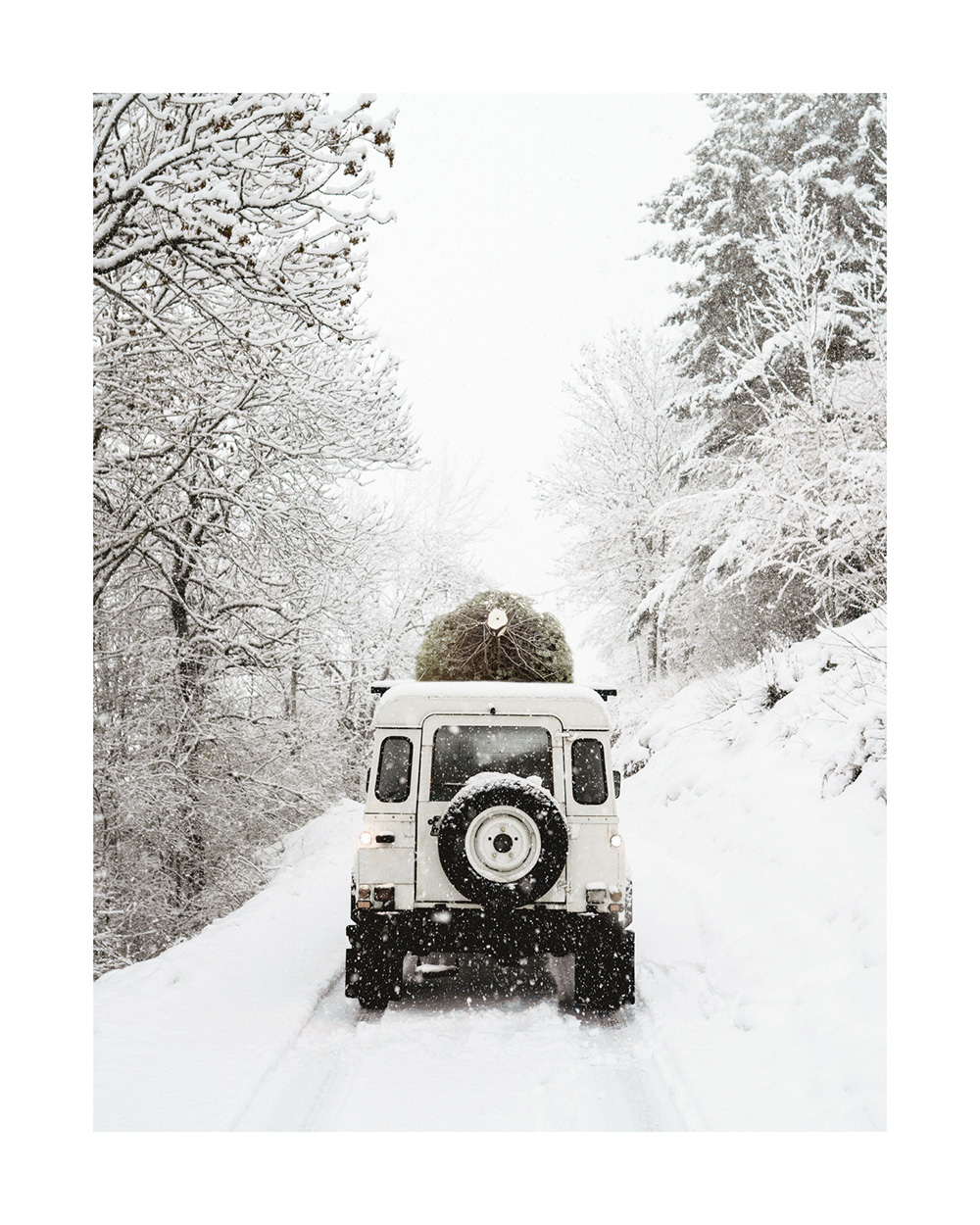 Holiday Delivery Print