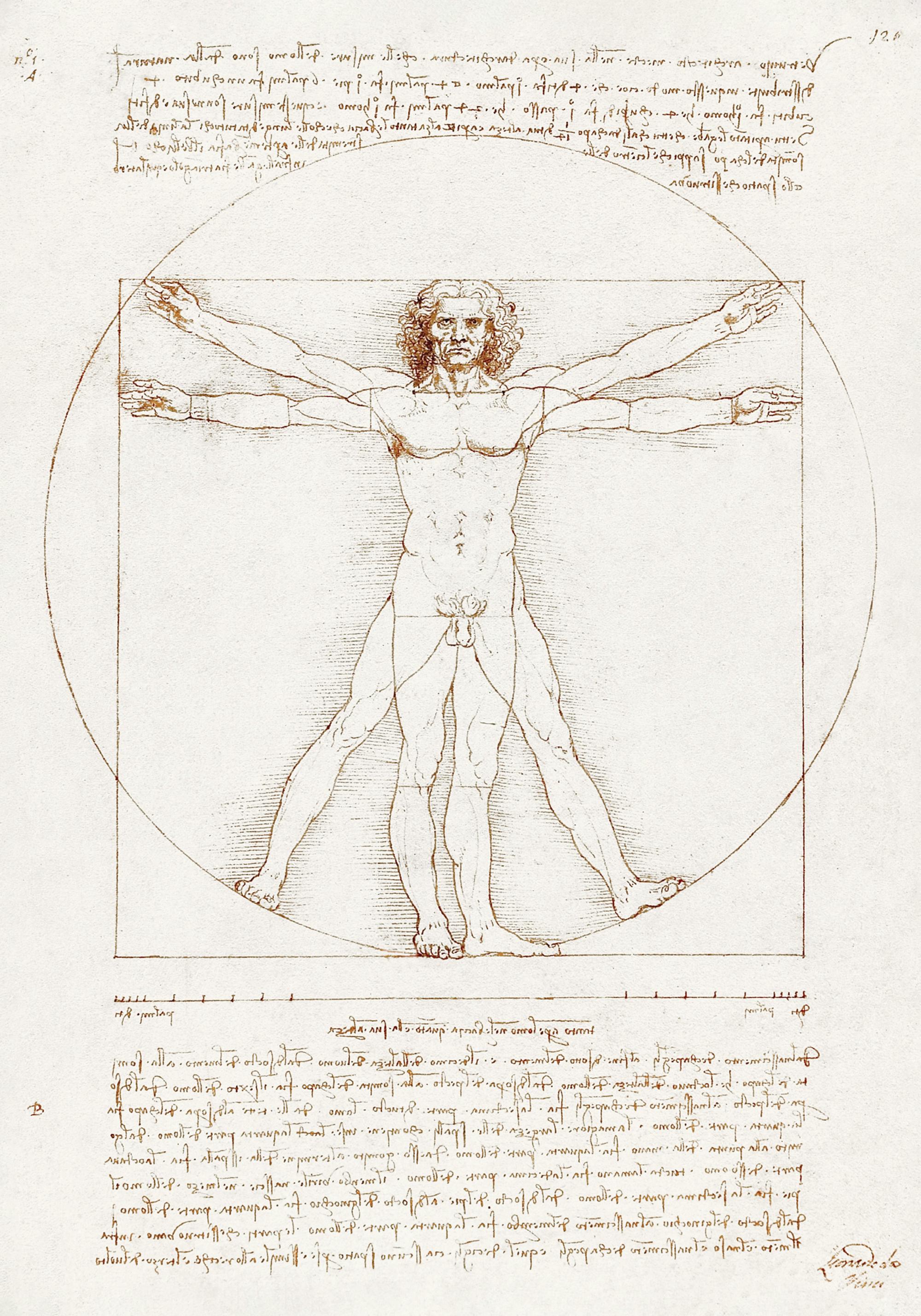 Leonardo Da Vinci - Vitruvian Man Print