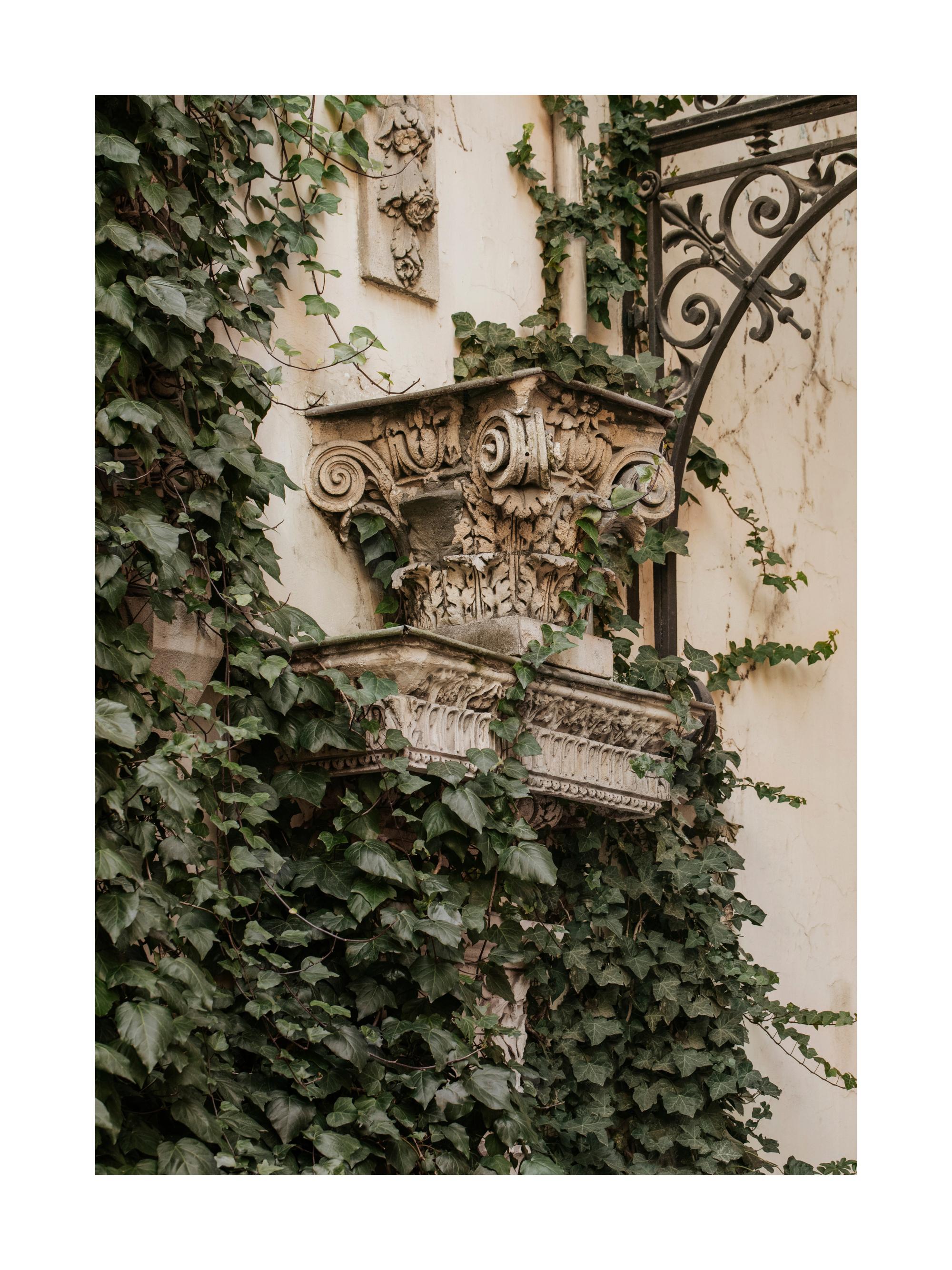 Lush Facade Print