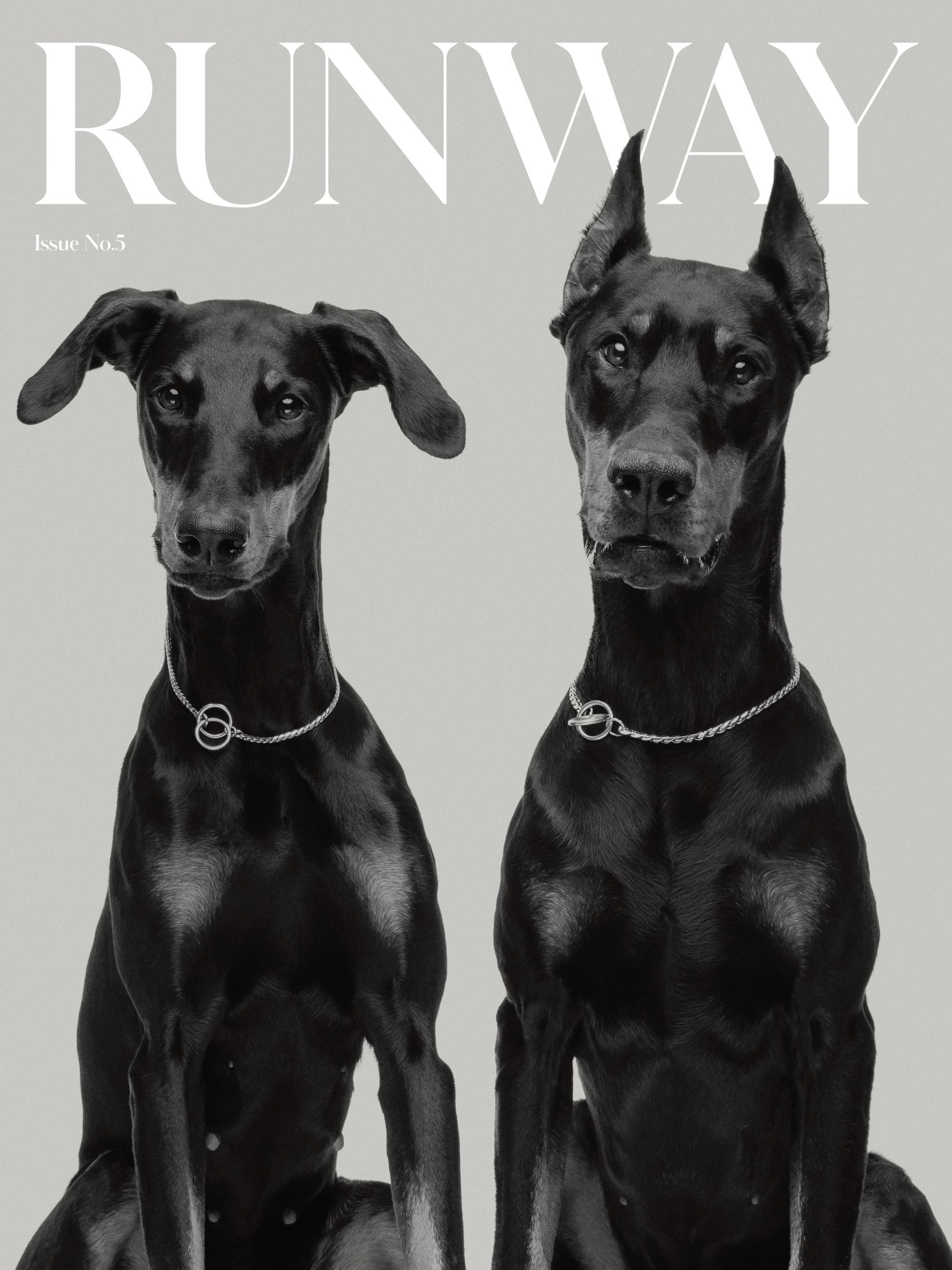 Runway Dogs Print