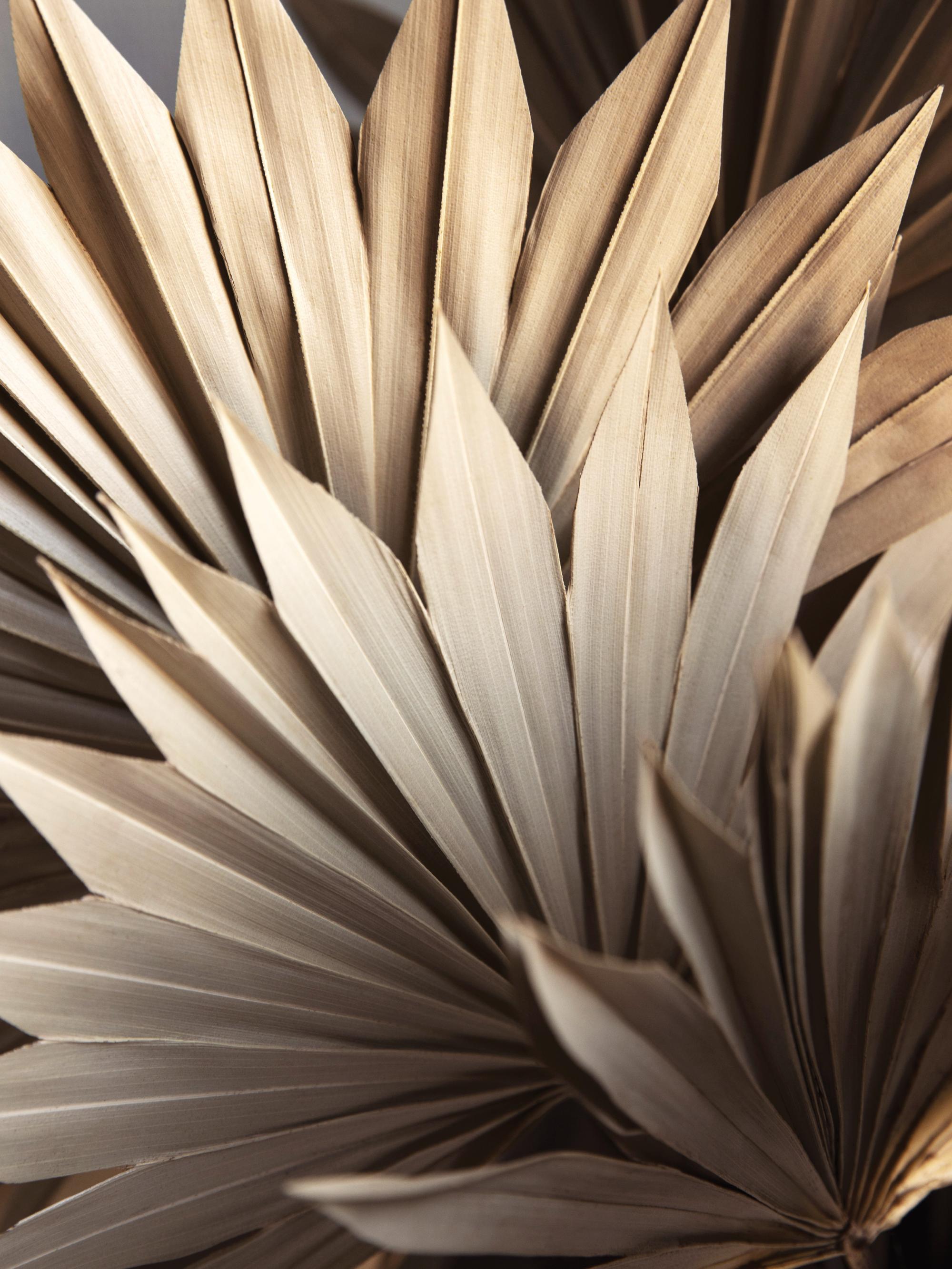 Rustic Leaves No1 Print