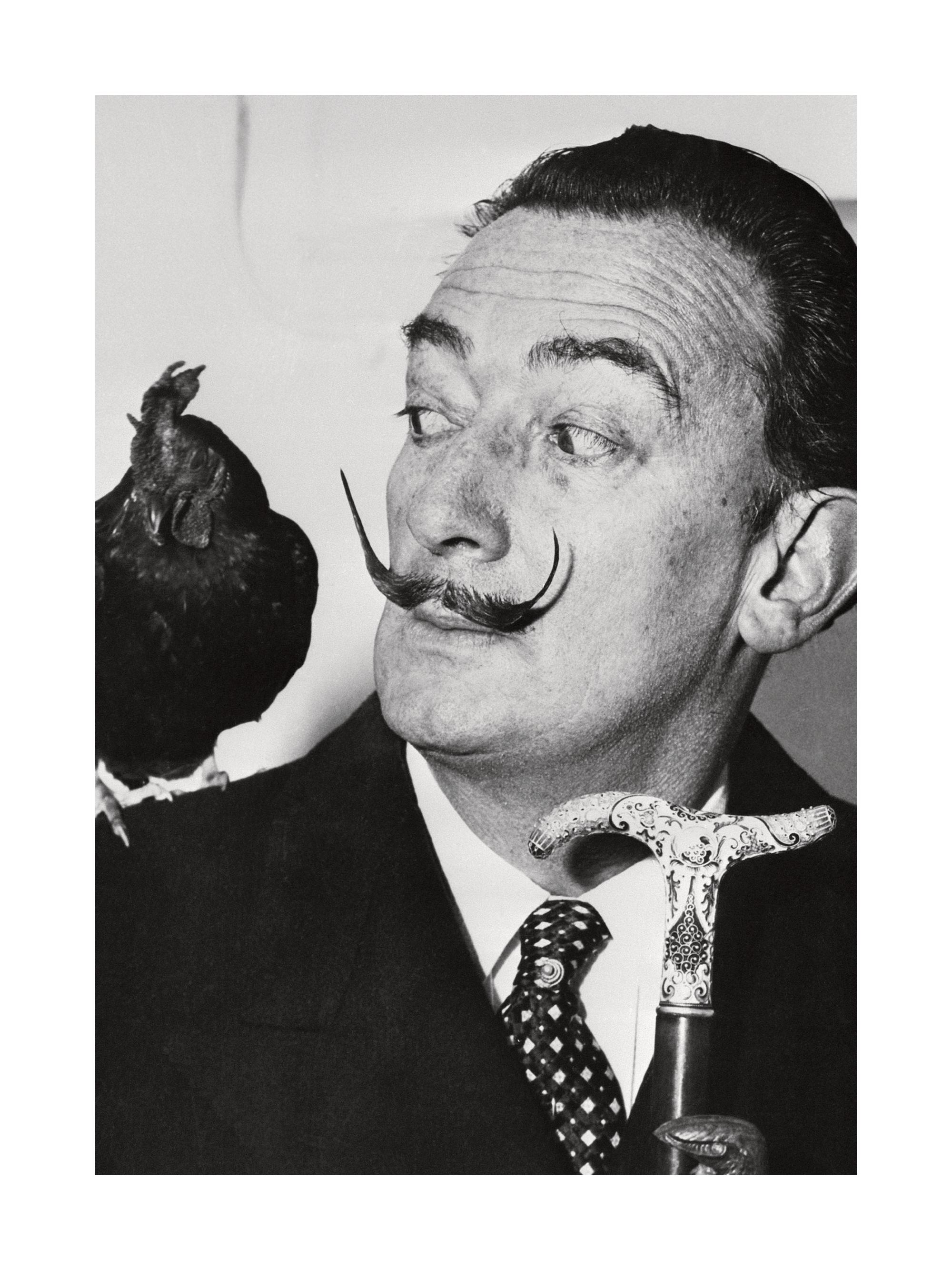 Salvador Dalí Print