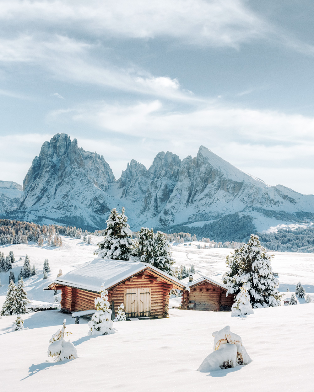 Snowy Seiser Alm Print