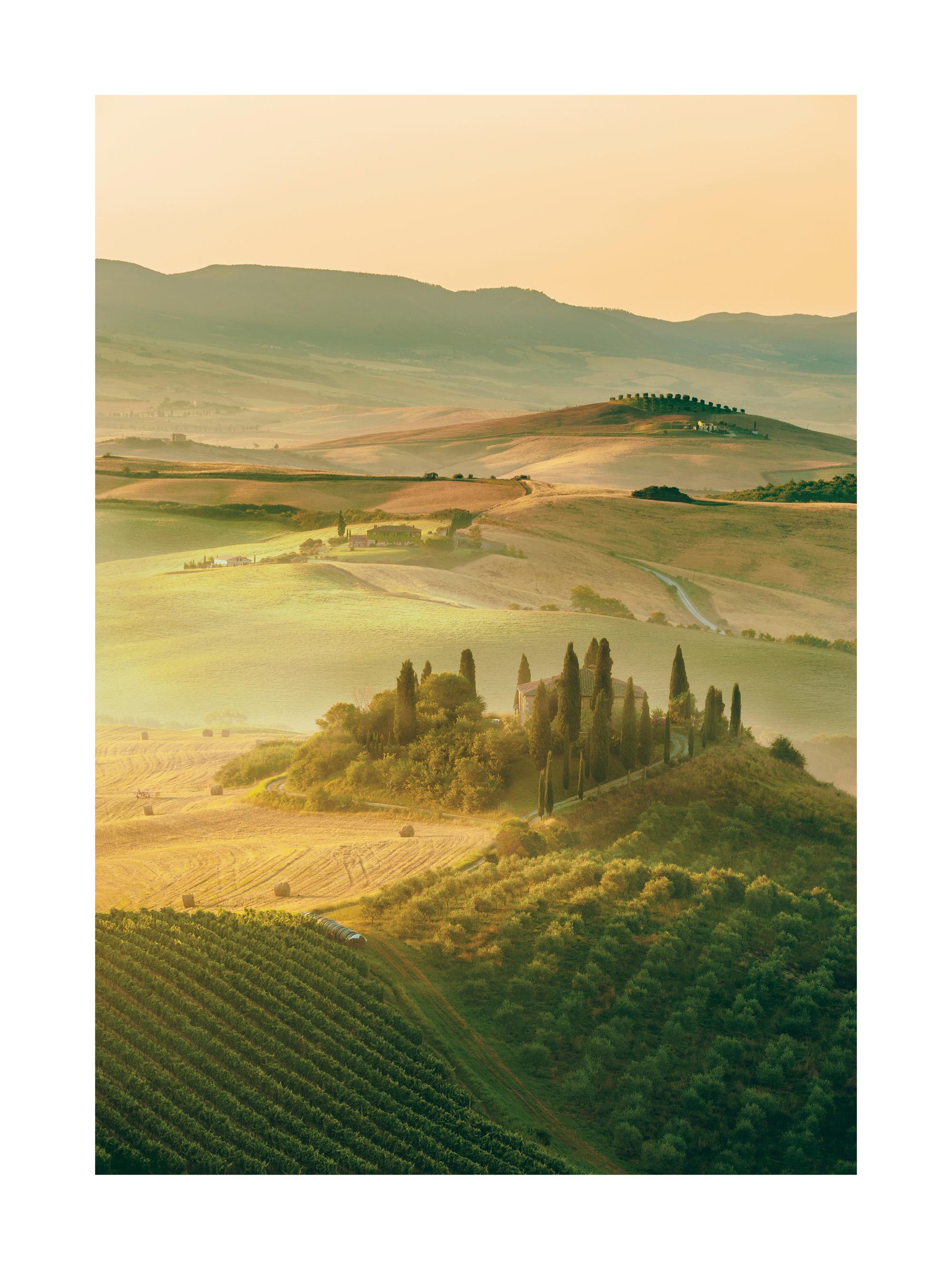 Tuscany Hills Print