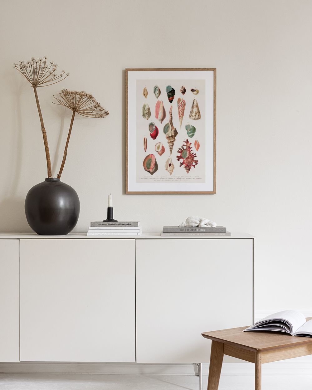 Vintage Seashells No1 Print