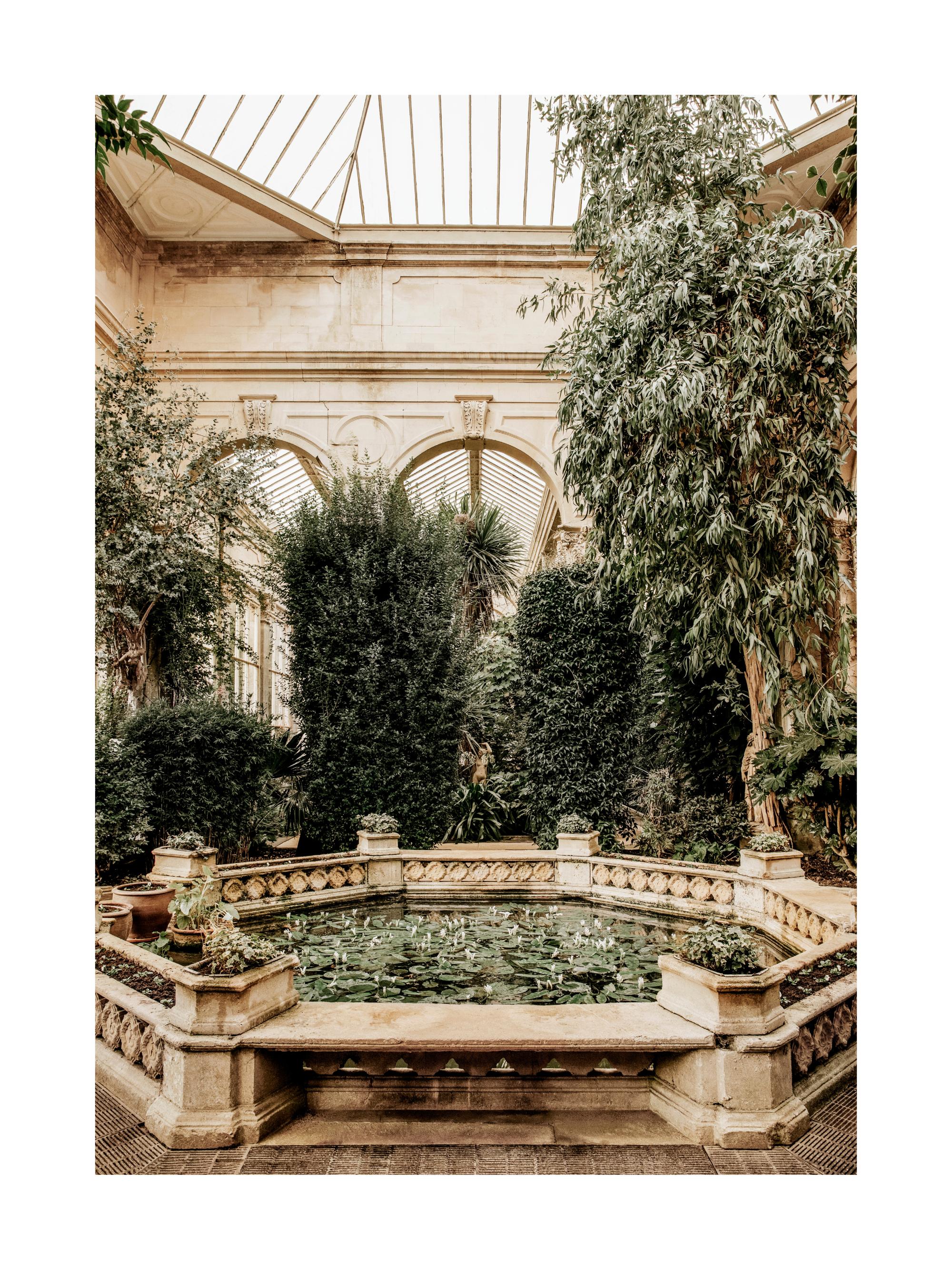 Water Lily Pond Print