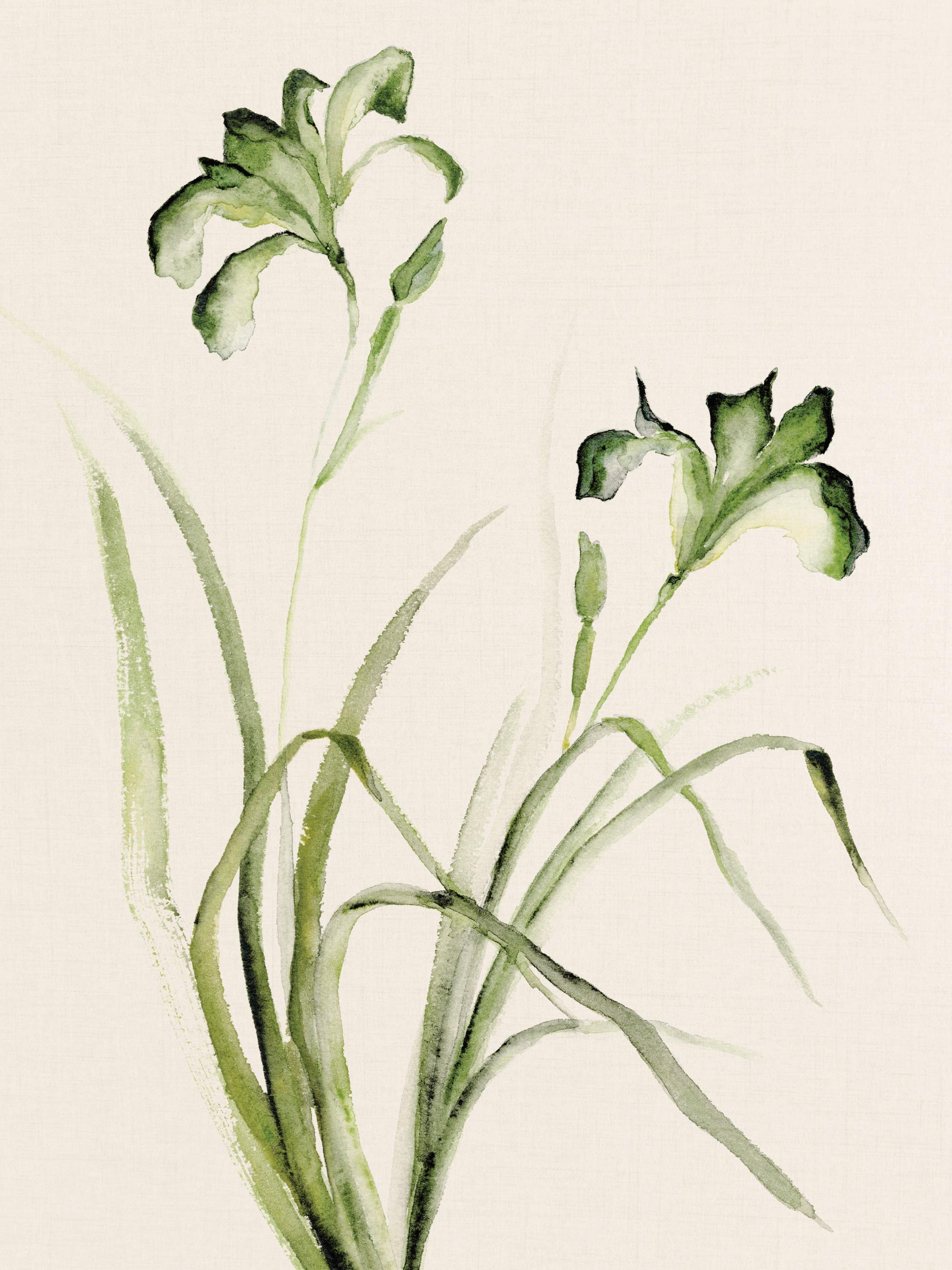 Watercolor Irises Print