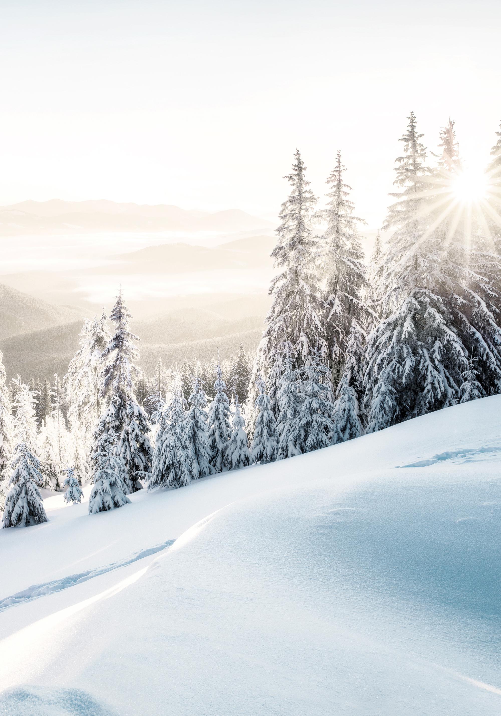 Winter Sunrise Print