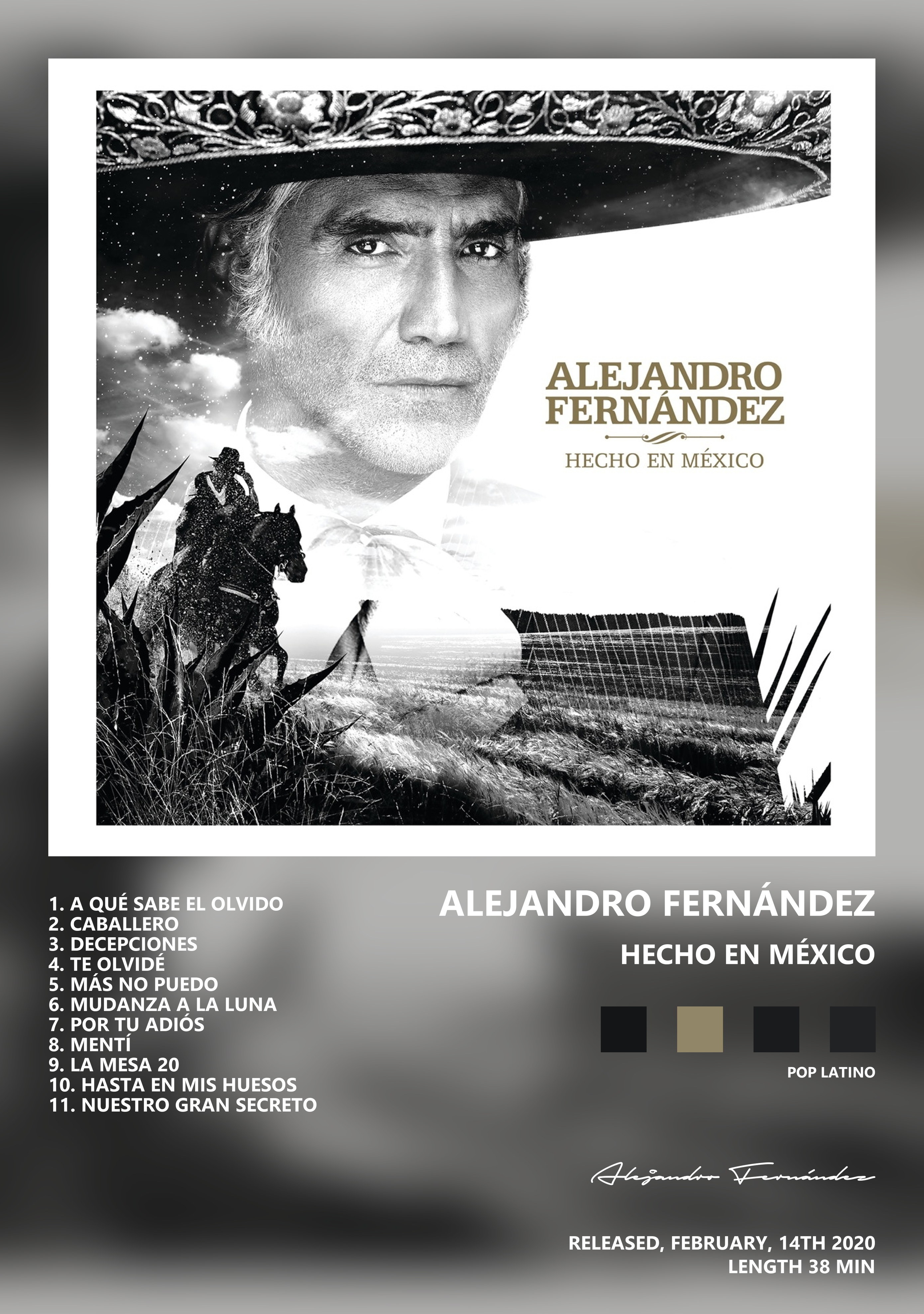 Музыкальный постер: Alejandro Fernández — Hecho en México