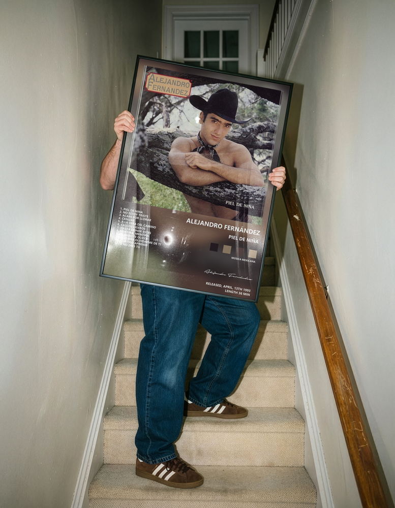 Музыкальный постер: Alejandro Fernández — Piel de Niña