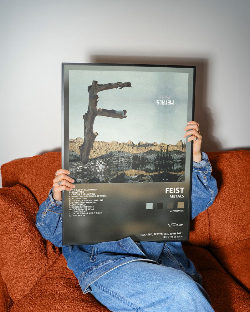 Музыкальный постер: Feist — Metals