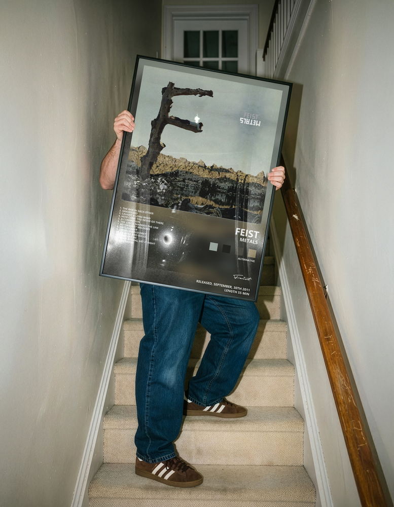 Музыкальный постер: Feist — Metals