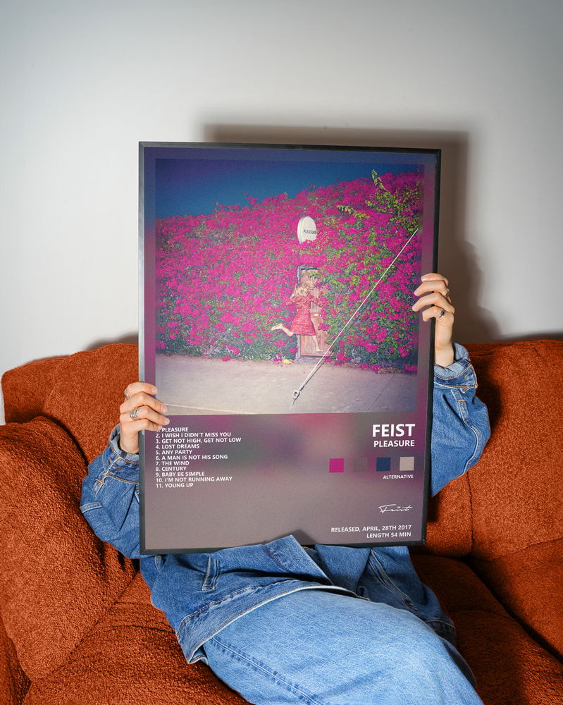 Музыкальный постер: Feist — Pleasure