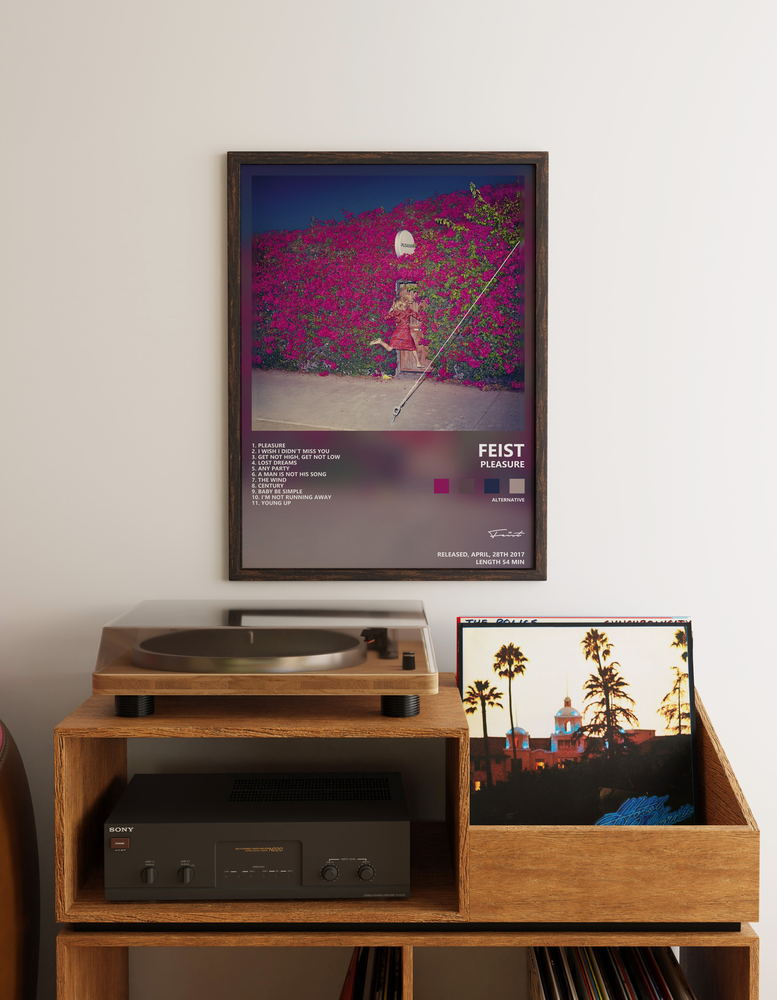 Музыкальный постер: Feist — Pleasure