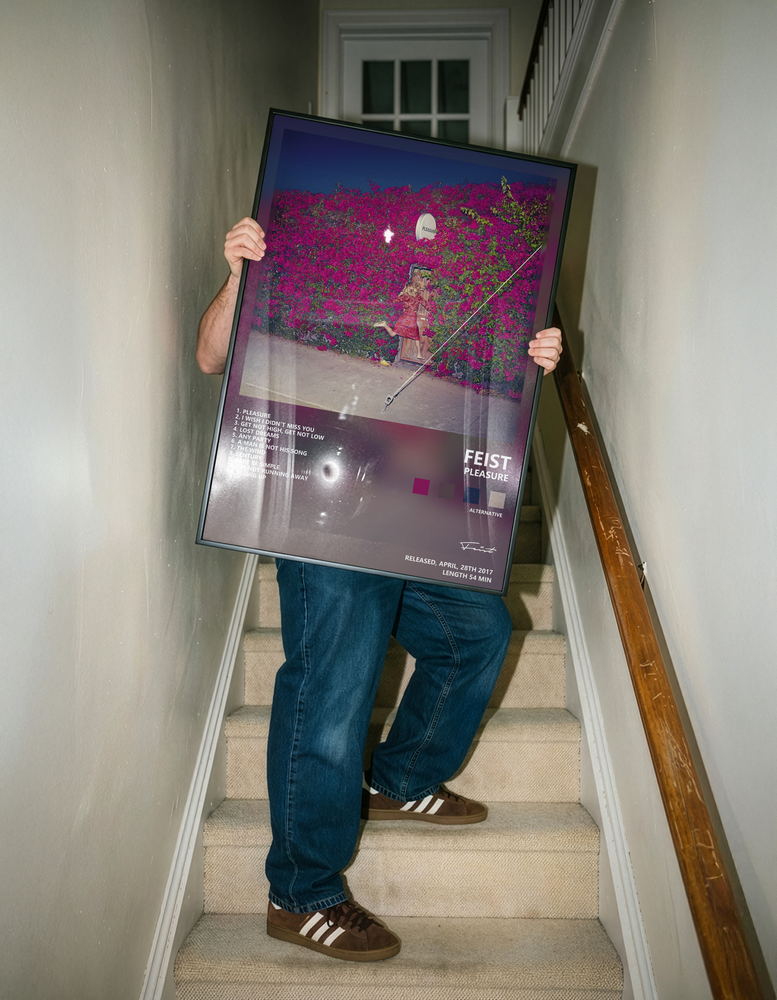 Музыкальный постер: Feist — Pleasure