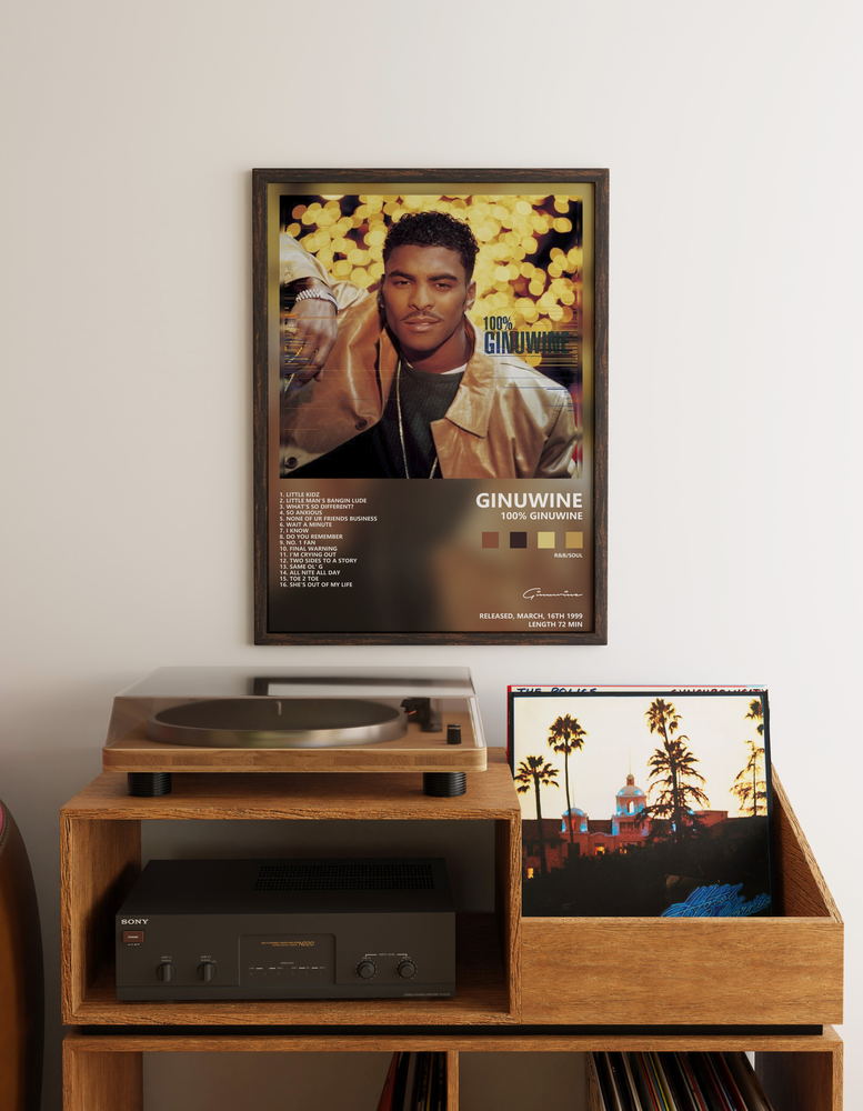 Музыкальный постер: Ginuwine — 100 Ginuwine