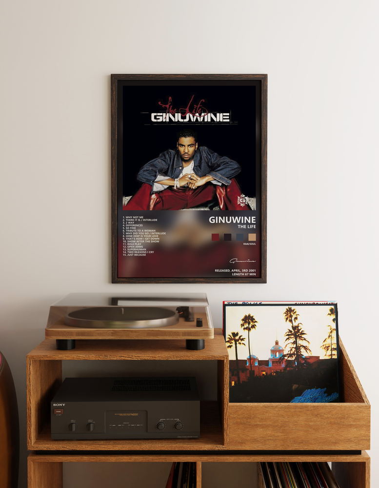 Музыкальный постер: Ginuwine — The Life