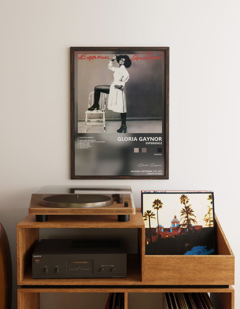 Музыкальный постер: Gloria Gaynor — Experience